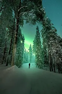 Aurora Borealis Prints: Forest near Ruka with the northern lights in the sky in finnish Lapland, Finland