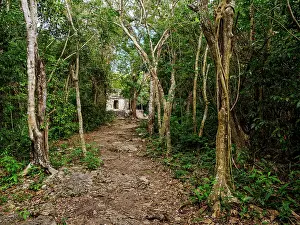Yucatec Prints: Forest pathway towards Templo Nohoch Nah