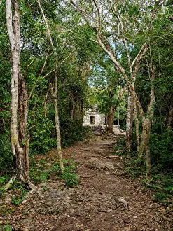 Yucatec Prints: Forest pathway towards Templo Nohoch Nah