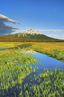 Cascade Range Prints: Forest pond am Sparks Lake with Mount Bachelor - USA, Oregon, Deschutes, Cascade Lakes