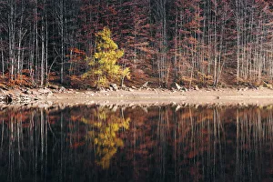 Forest reflection on the Lago Baccio during autumn, Appennines, Emilia Romagna, Italy