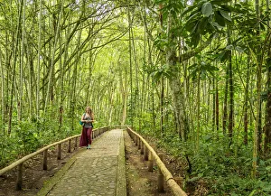 Forest in San Agustin Archaeological Park, Huila Department, Colombia