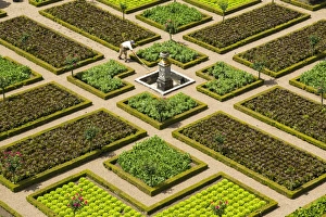 Images Dated 1st June 2015: Formal gardens, Chateau of Villandry, Indre et Loire, Loire Valley, France