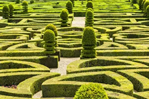 Geometric Prints: Formal gardens, Chateau of Villandry, Indre et Loire, Loire Valley, France