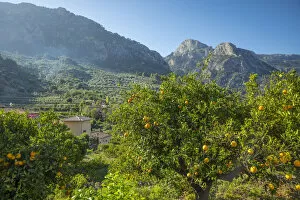 Images Dated 2nd July 2021: Fornalutx, Serra de Tramuntana, Mallorca, Balearic Islands, Spain