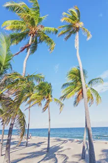 Images Dated 25th May 2021: Fort Lauderdale beach, Fort Lauderdale, Broward County, Florida, USA