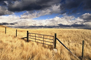 Albert A Prints: Fort MacLeod, Alberta, Canada