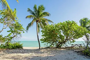 Kew West Prints: Fort Zachary Taylor Beach, , Fort Zachary Taylor Historic State Park