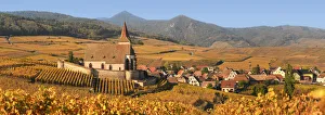 Grand Est Prints: Fortified church of Saint Jacques, Hunawihr, Alsace, Alsatian Wine Route, Haut-Rhin