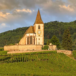 Fortified church of Saint Jacques, Hunawihr, Alsace, Alsatian Wine Route, Haut-Rhin