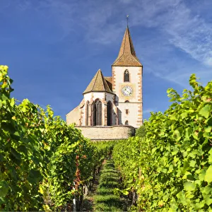 Fortified church of Saint Jacques, Hunawihr, Alsace, Alsatian Wine Route, Haut-Rhin