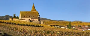 Fortified church of Saint Jacques, Hunawihr, Alsace, Alsatian Wine Route, Haut-Rhin