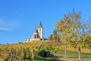 Images Dated 30th November 2022: Fortified church of Saint Jacques, Hunawihr, Haut-Rhin, Alsace, Alsace-Champagne-Ardenne-Lorraine