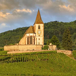 Images Dated 26th November 2021: Fortified church of Saint Jacques, Hunawihr, Alsace, Alsatian Wine Route, Haut-Rhin