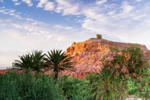 Fluffy Prints: Fortified village of Ait Ben Haddou framed by palm trees at sunset