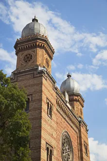Synagogue Prints: The Fortress Synagogue, Timisoara, Banat, Romania