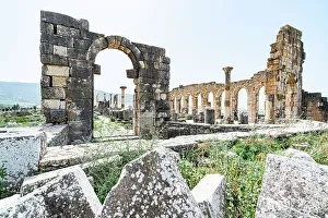 Old Ruin Prints: The Forum at the Roman archaeological site of Volubilis