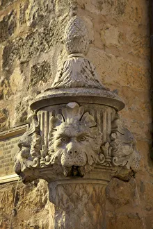 Lions Prints: Fountain, Gundulic Square, Dubrovnik, Dalmatia, Croatia