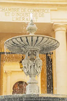 Historical Landmark Prints: Fountain outside the Hotel Saint Come, Montpellier, Herault, France