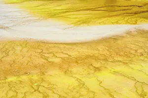 Carvings Prints: Fountain Paint Pots geyser basin in winter- Bacterial mat patterns