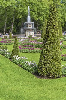 Images Dated 24th March 2016: Fountain in the park, Peterhof, Saint Petersburg, Russia
