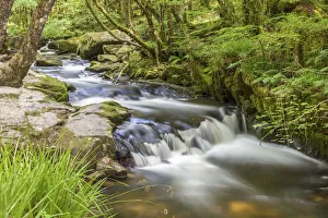 Fowey River St Neots, Bodmin Moor, Cornwall, England