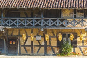 France, Auvergne-Rhone-Alpes, Ain department, Courtes