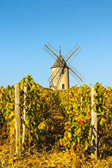 Bourgogne Prints: France, Auvergne-Rhone-Alpes, Rhone department, Beaujolais crus, Chenas