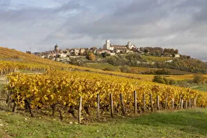 Images Dated 3rd February 2021: France, Bourgogne-Franche-ComtAA©, Burgundy, Yonne, Vezelay surrounded by vines in
