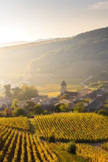 France, Bourgogne-Franche-Comte, Burgundy, Saone-et-Loire, Solutre-Pouilly