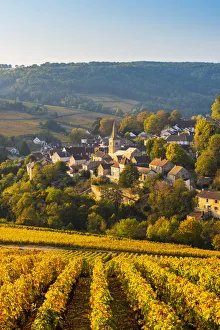 France, Bourgogne-Franche-Comte, Burgundy, Cote-d Or, Pernand-Vergelesses