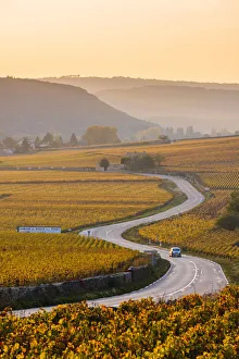 France, Bourgogne-Franche-Comte, Burgundy, Cote-d Or, Cote de Beaune vineyards