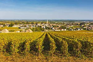 France, Bourgogne-Franche-Comte, Burgundy, Cote-d Or, Meursault