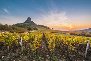 France, Bourgogne-Franche-Comte, Burgundy, Saone-et-Loire, Solutre-Pouilly