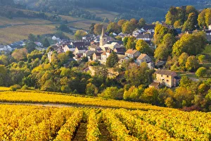France, Bourgogne-Franche-Comte, Burgundy, Cote-d Or, Pernand-Vergelesses