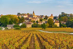 France, Bourgogne-Franche-Comte, Burgundy, Cote-d Or, Monthelie