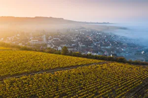 France, Bourgogne-Franche-Comte, Burgundy, Yonne, Irancy. Aerial view