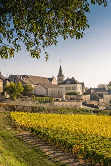 France, Bourgogne-Franche-Comte, Burgundy, Cote-d Or, Monthelie