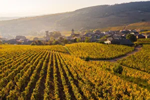 France, Bourgogne-Franche-Comte, Burgundy, Saone-et-Loire, Solutre-Pouilly