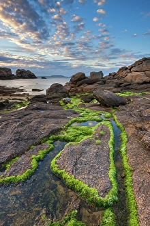 Cotes Darmor Prints: France, Brittany, Cotes d'Armor, Cote de Granit Rose