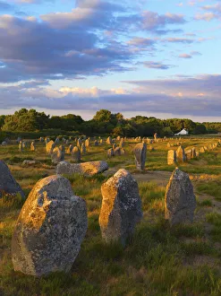 National Landmark Gallery: France, Brittany, MorbihanCarnac, megalithic menhir alignments of Menec, wide view