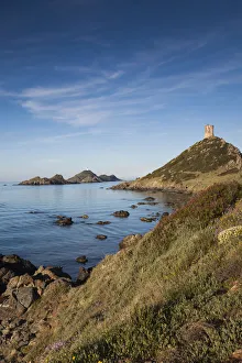 France, Corsica, Corse-du-Sud Department, Corsica West Coast Region, Ajaccio-area
