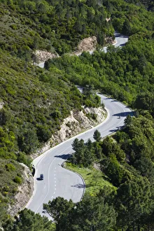 France, Corsica, Haute-Corse Department, Central Mountains Region, Vivario, elevated