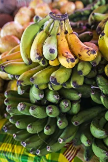 Guadeloupe Prints: France, Guadalupe, Saint-Franazois, Bananas at the Saint-Franazois market