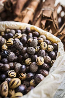 Images Dated 14th July 2020: France, Guadeloupe, Pointe-a-Pitre, Nutmegs at the Saint Antoine market