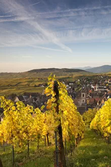 Images Dated 11th March 2011: France, Haut-Rhin, Alsace Region, Alasatian Wine Route, Riquewihr, town view, dawn