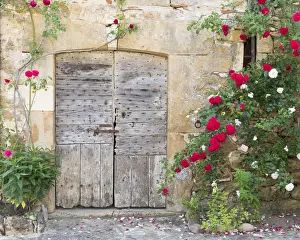 Carennac Prints: France, Lot, Carennac, An old wooden barn door surrounded by roses in the heart of
