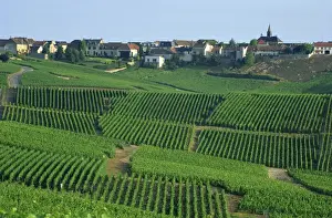 Champagne Prints: France, Marne, Champagne, Cramant Village and Vineyards
