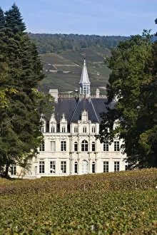 Images Dated 11th March 2011: France, Marne, Champagne Region, Boursault, Chateau de Borsault