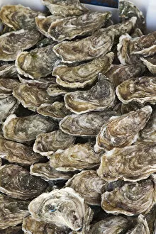 Images Dated 30th June 2011: France, Normandy, Honfleur, Oysters